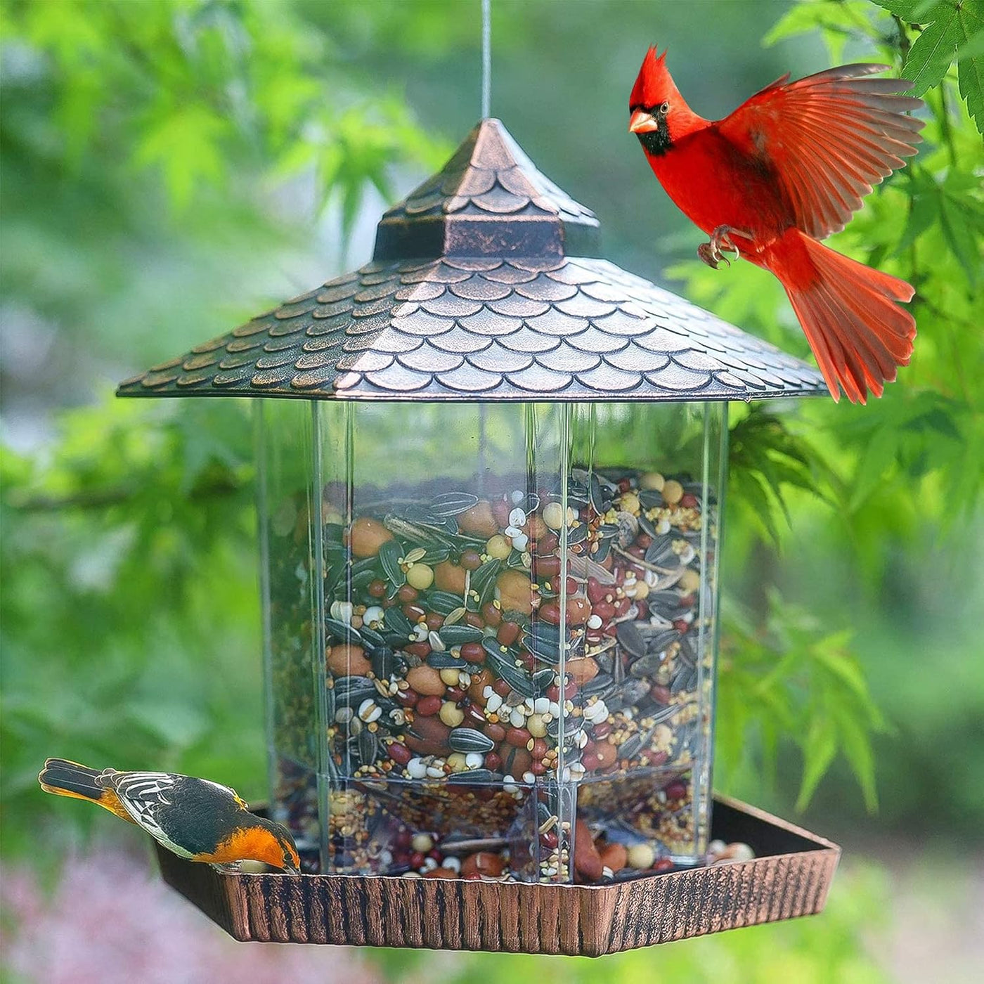 Bird Feeder Hanging Copper Roof Outdoor