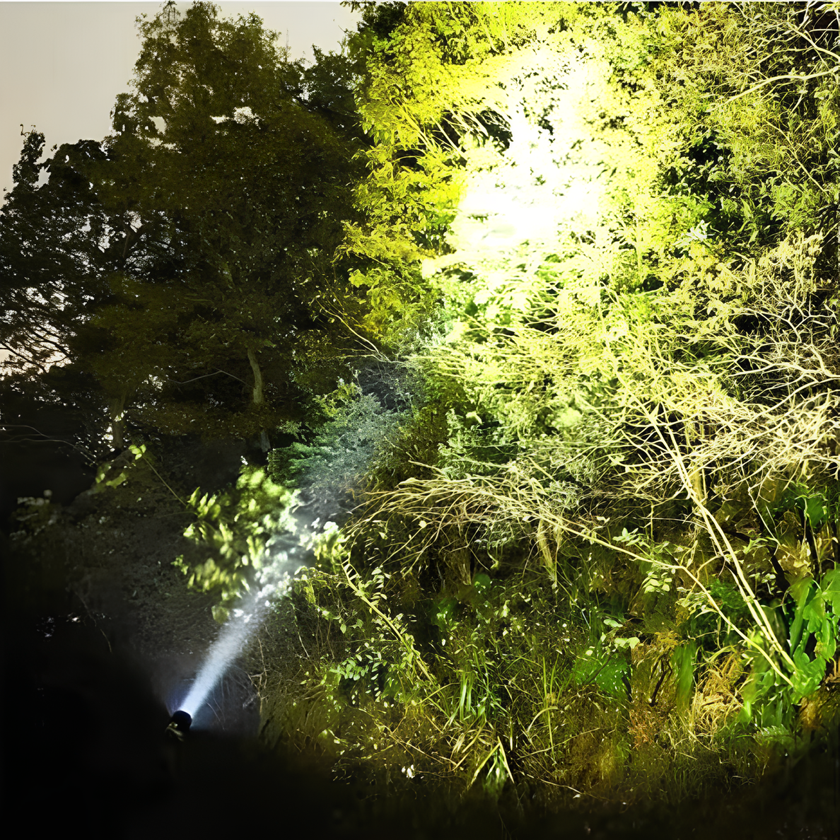 Hunting Gear Rechargeable Tactical LED Flashlight