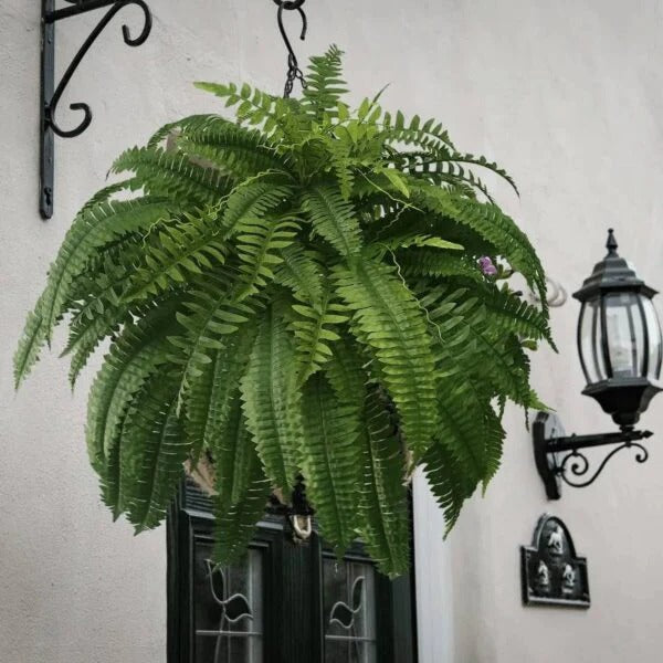 Artificial Fern UV Resistant Outdoor Plant Decor