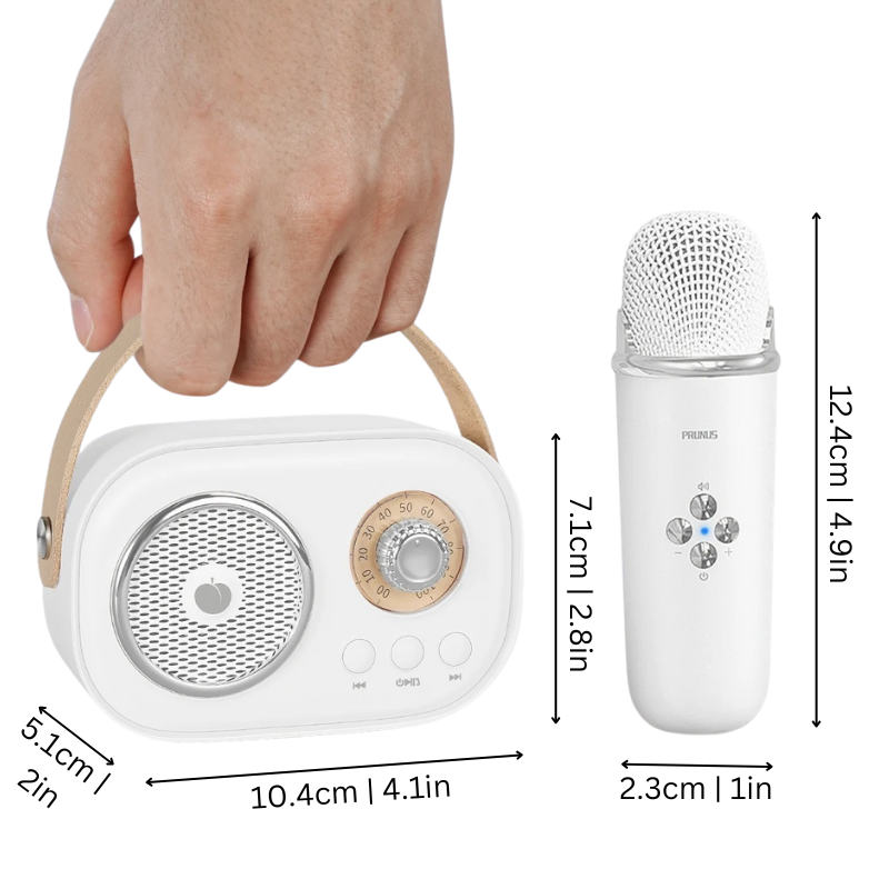 Karaoke Machine Retro Bluetooth Music Speaker Set